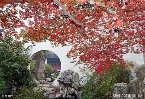 張愛玲的弟弟張子靜是宰相後代，他寧可終生不婚，也不娶鄉下寡婦 每日頭條