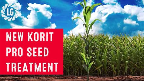 Korit Pro New Seed Treatment For Maize From Limagrain Uk Youtube