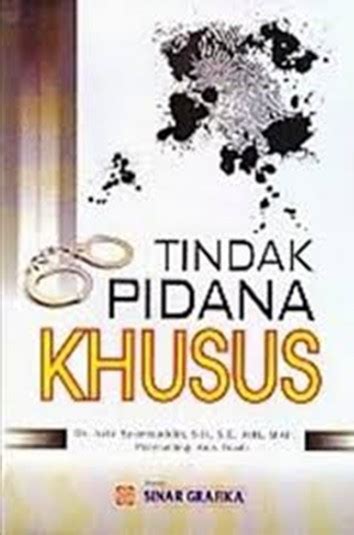 Buku Tindak Pidana Khusus Karya Aziz Syamsuddin