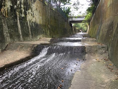 【親水文化】佐敦谷明渠活化 變身首個河畔城市