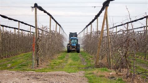 Agricultura Intensiva Qué Es Sus Ventajas Desventajas Y Más