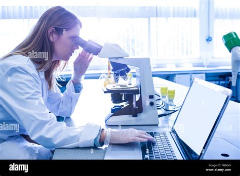 Scientist Working With A Microscope In Laboratory Stock Photo Alamy