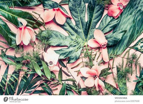 Tropische Blumen Und Bl Tter Auf Rosa Hintergrund Ein Lizenzfreies