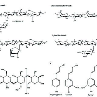 Schematic Structure Of A Hemicellulose B Cellulose And C