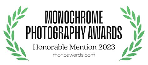 Succes Bij Monochrome Photography Awards Rs Photo Art