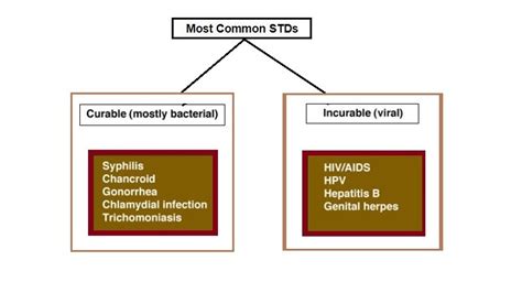 Stds Sexually Transmitted Diseases Classification