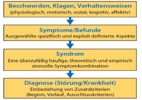 3 Der Diagnostische Prozess Flashcards Quizlet