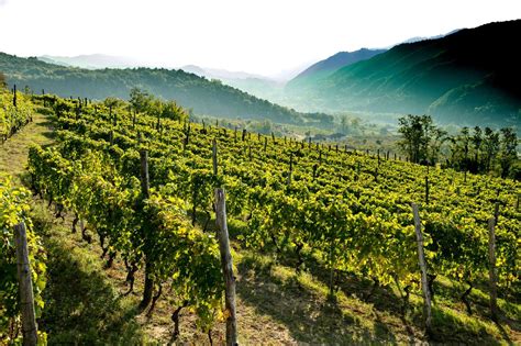 Alta Langa Terra Custode Di Antiche Emozioni Tour Nelle Langhe