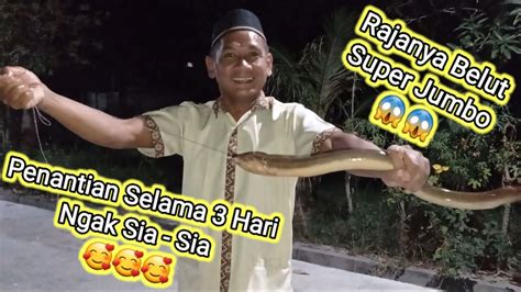 Tarikannya Bikin Jantung Dag Dig Dug Serrr Dan Gemeteran Belut