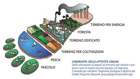 Impronta Ecologica Cerca Con Google Impronta Ecologia Diagrammi