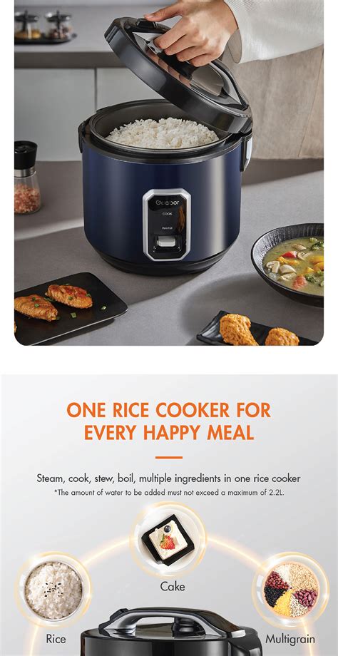 Gaabor Electric Multifunctional Fast Cooking Rice Cooker L Rc M