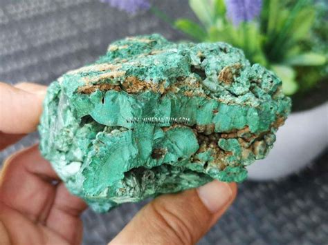 Malaquita Bandas Mineralitum Exclusive Minerals Tienda Minerales Online