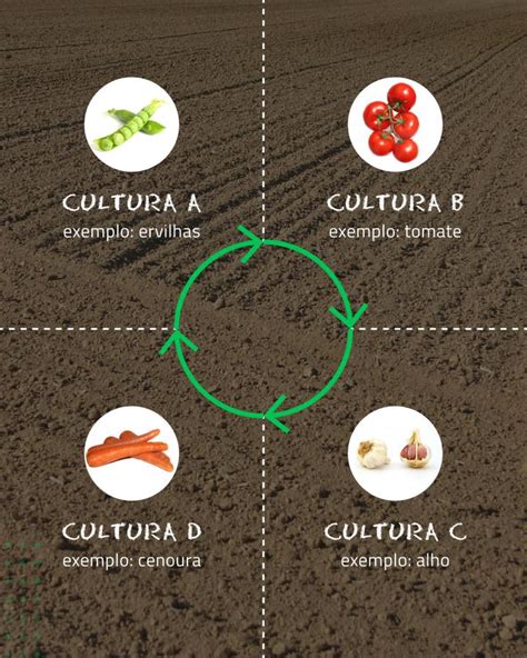 Rotação de Culturas Agricultura Biológica AgroB