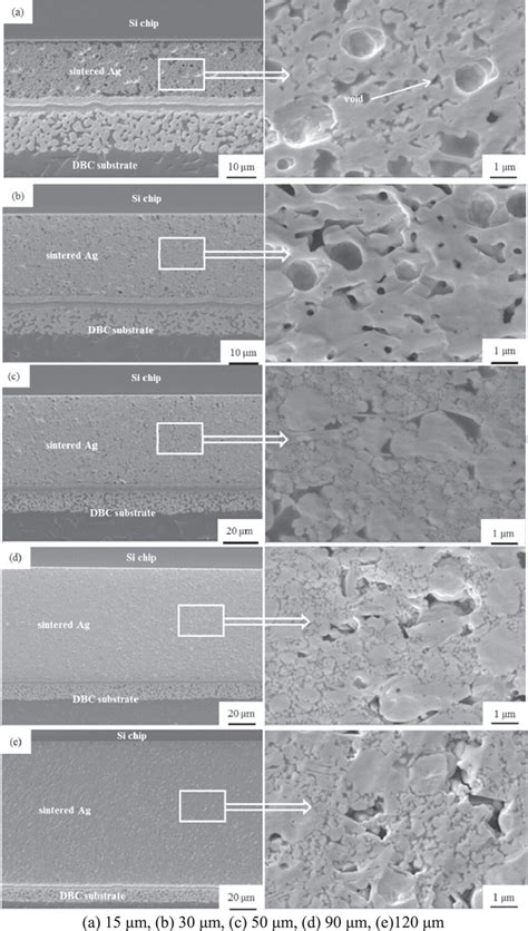 Cross Sectional Images Of Sintered Ag Joints With Various Bonding Layer