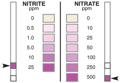 Nitrite Nitrate Test Strip – Precision Laboratories