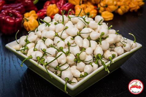 Habanero Snow White Fatalii Seeds