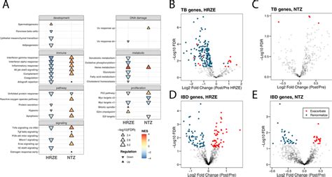 Hallmark Pathway Gene Set Enrichment Analysis And Gene Expression Download Scientific Diagram