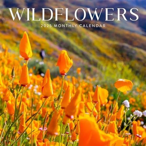 Wildflowers Calendar 2025 12 X 24 Floral Wall Calendar