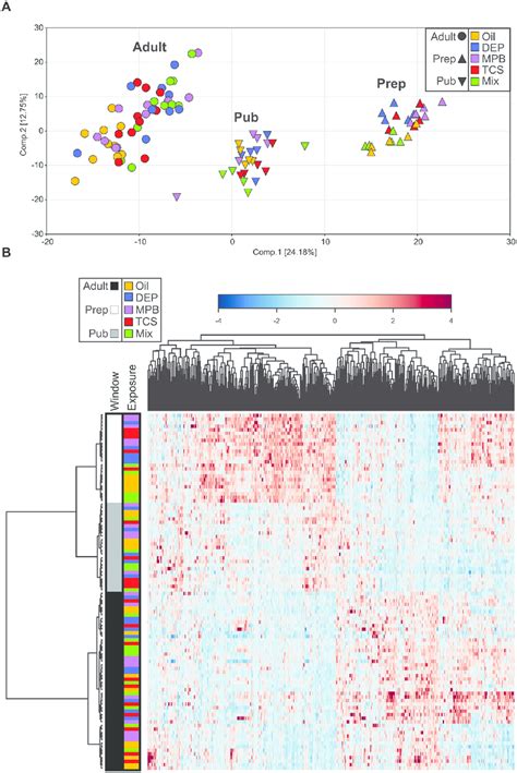 Characterization Of The Metabolomic Dataset A Principal Component