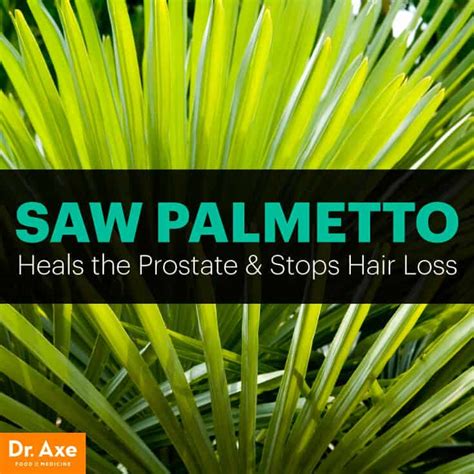 Saw Palmetto Benefits the Prostate & Stops Hair Loss - Dr. Axe