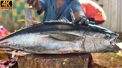 Kasimedu Biggest Yellow Fin Tuna Fish Cutting In Kasimedu K