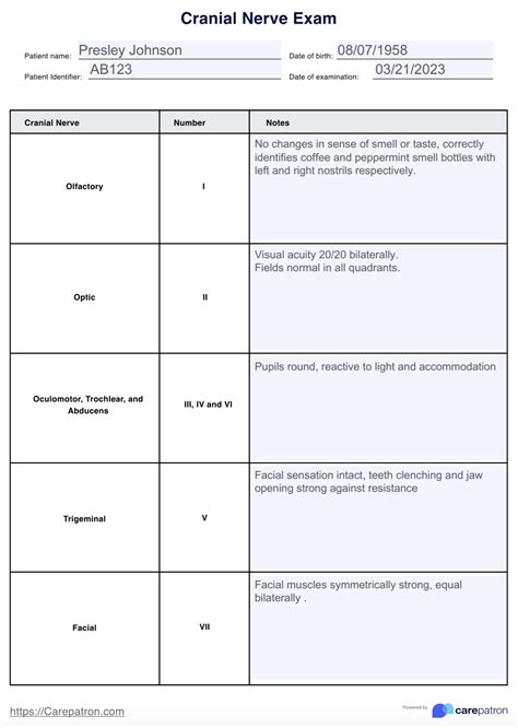 Cranial Nerve Exam & Example | Free PDF Download