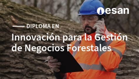 Innovaci N Para La Gesti N De Negocios Forestales Ide Esan