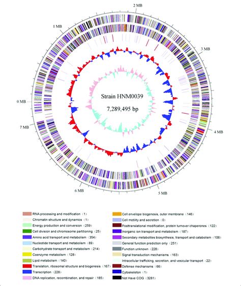 Circular Genome Map Of Strain Hnm0039 T The Genome Map Was Made Download Scientific Diagram