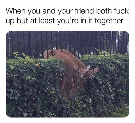 When You And Your Friend Both Fuck Up But At Least You Re In It