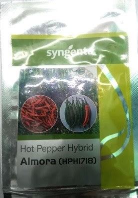 Syngenta Almora HPH Hot Pepper Hybrid Seeds