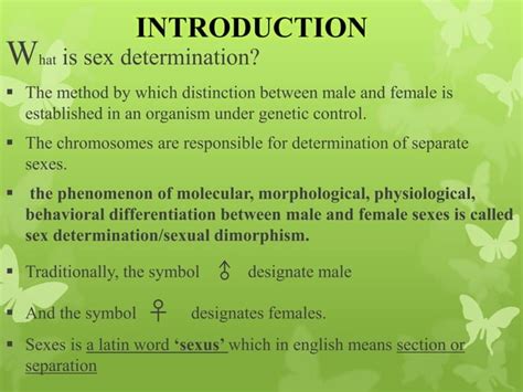 Sex Determination Chromosomal Theory Of Sex Determination Ppt