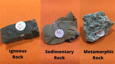 Rocks And Minerals 3 Types Of Rock Igneous Sedimentary And Metamorphic Rock Samples Part