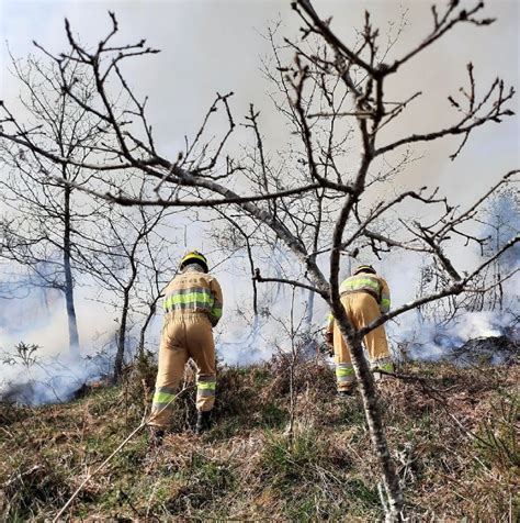 Cuatro Incendios Forestales Siguen Activos En Cantabria Y Otros Cuatro