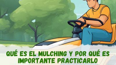 Qué es el mulching y por qué es importante practicarlo