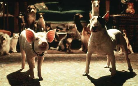 Foto de la película Babe el cerdito en la ciudad Foto 12 por un