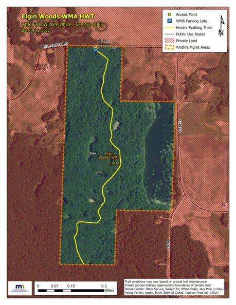 Elgin Woods WMA HWT 2022 map by Minnesota Department of Natural ...