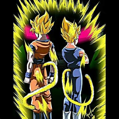 Super Saiyan Goku And Vegeta With Tails Dragon Ball Goku And Vegeta