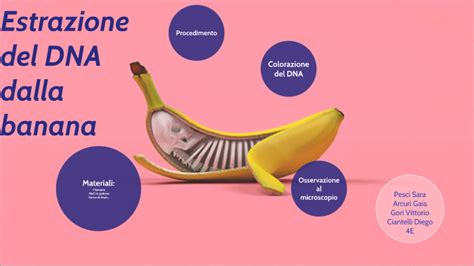 Estrazione Dna Banana By Sara Pesci On Prezi