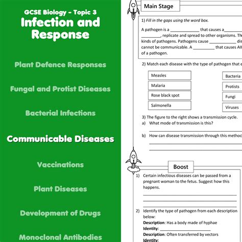 Communicable And Non Communicable Diseases Worksheet