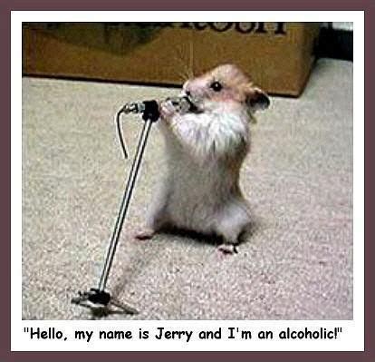 " We will, we will rock you." | Funny hamsters, Funny happy birthday ...