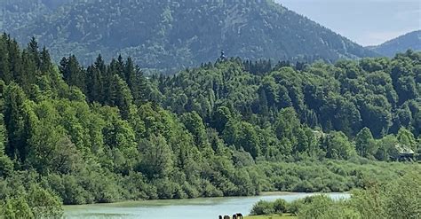 Faistenau Felsenbad Rundwanderweg BERGFEX Wanderung Tour