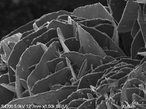 Call for Content: ACMAL Micrograph | Applied Chemical and Morphological ...
