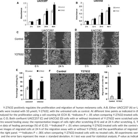 A In Contrast The Activation Of ATK In UACC257 Cells As Indicated