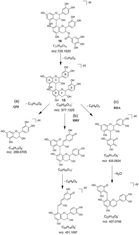 Proposed Fragmentation Pathways Of B Type Procyanidin Dimer From