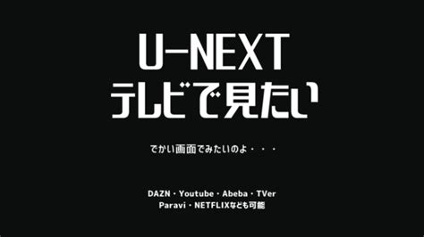 【コスパ最強の1択！】u Next（ユーネクスト）をテレビで見る方法│頂きサウナ