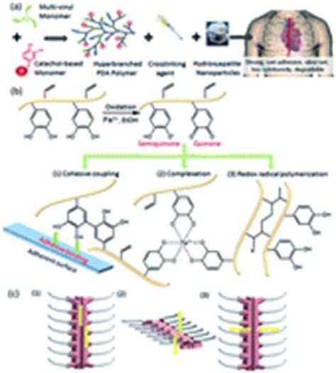 A Biomimetic Hyperbranched Poly Amino Ester Based Nanocomposite As A