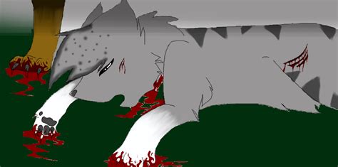 Cinderpelt's Death by coco7708 on DeviantArt