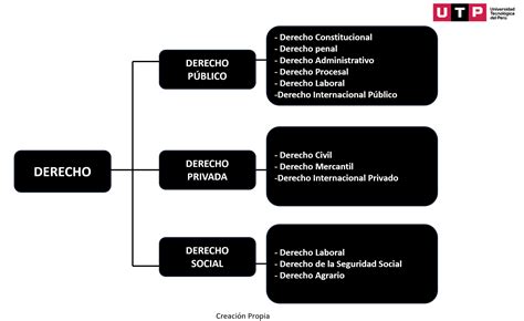 CONOCE CUÁLES SON LAS RAMAS DEL DERECHO Blog UTP