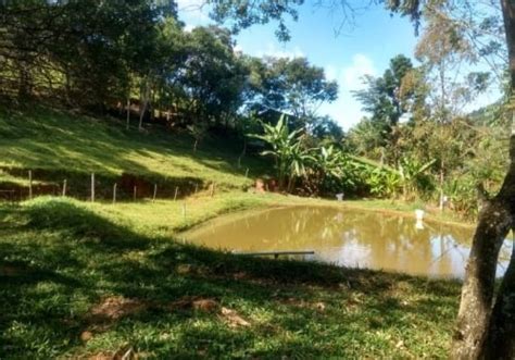 Fazendas à venda em Ouro Branco MG Chaves na Mão