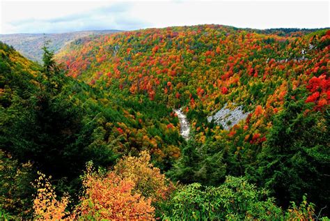 Discover the Perfect Scenic Drives in West Virginia - Almost Heaven - West Virginia